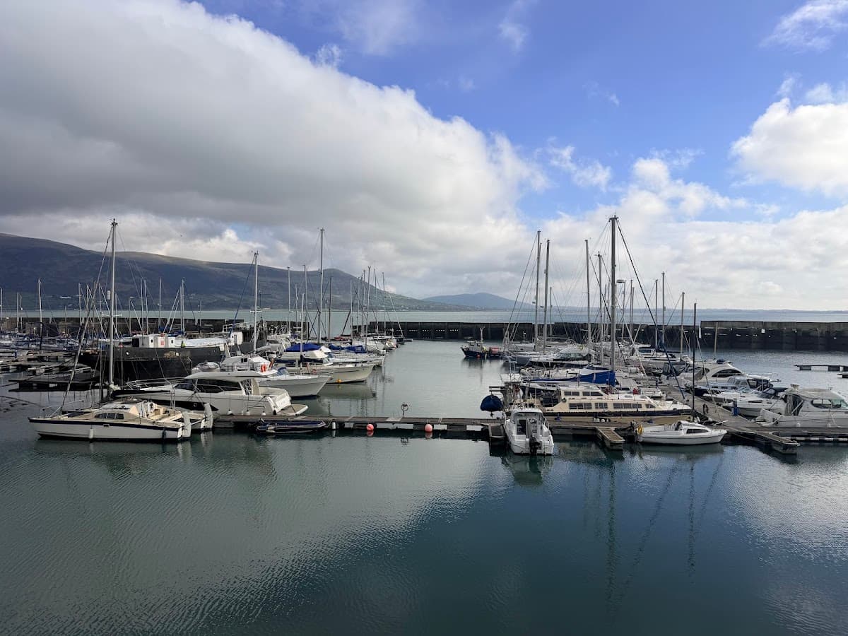 Carlingford Marina Motorhome Aire Site