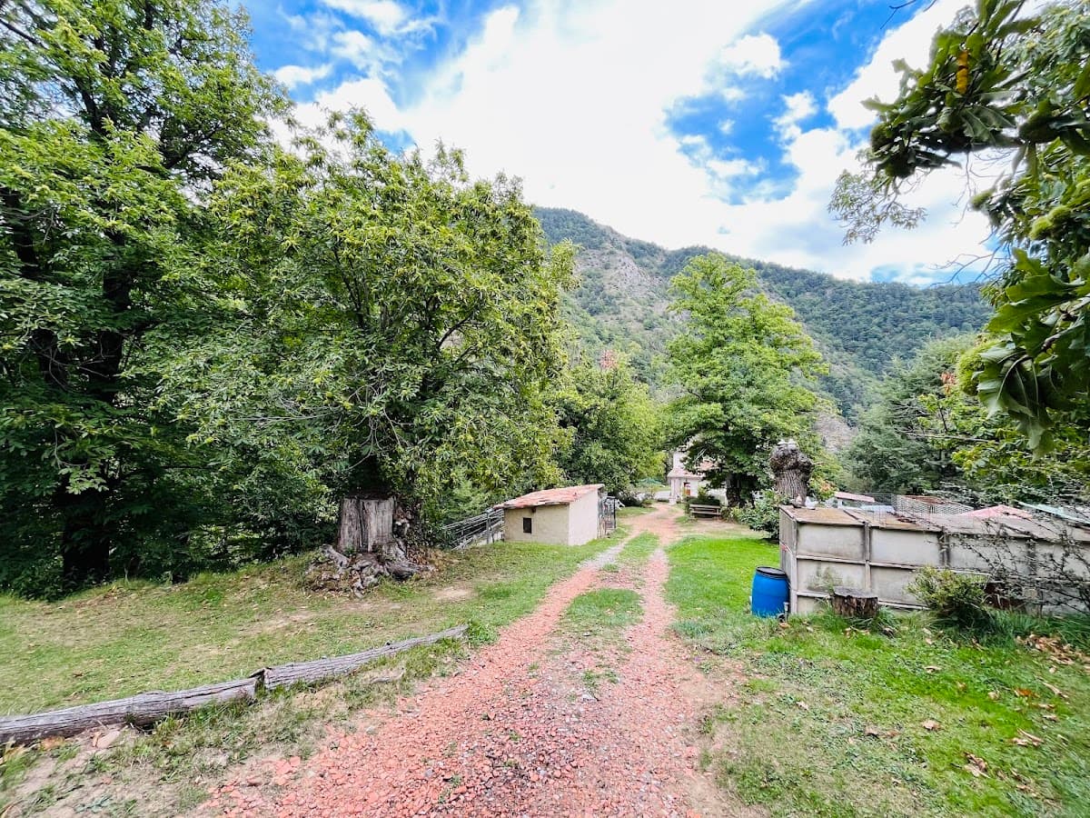Camping à la Ferme du Seuillet