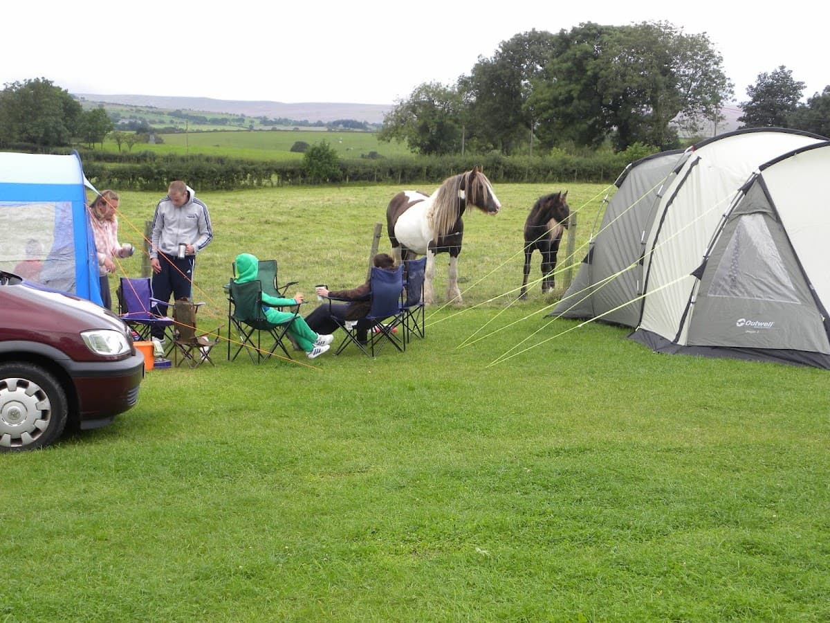 Orcaber Farm Caravan & Camping Park