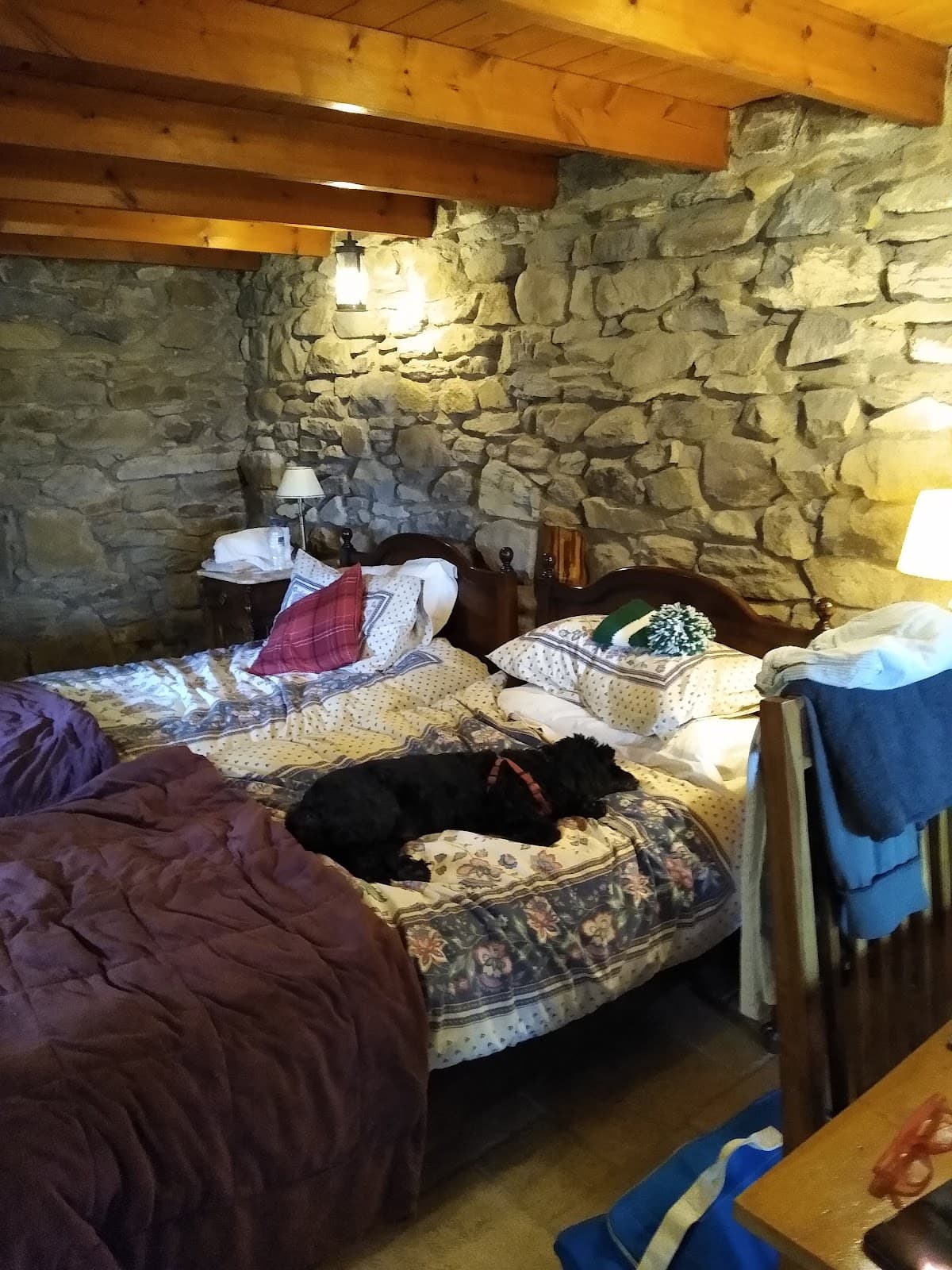 Milarrochy Bay Camping and Caravanning Club Site
