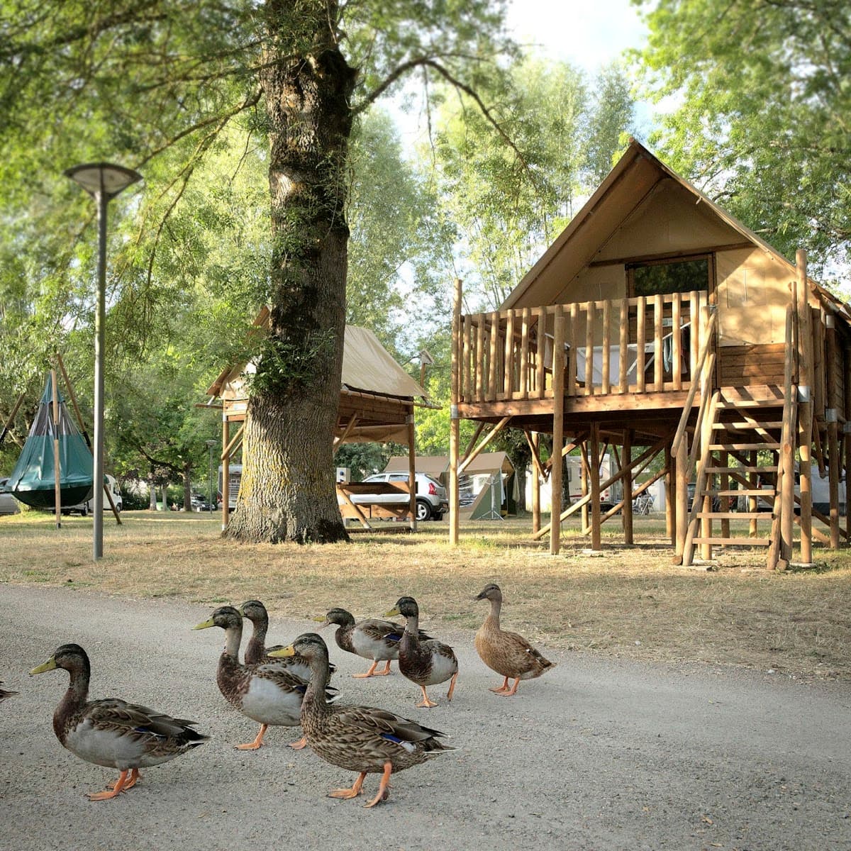 Camping Le Sabot