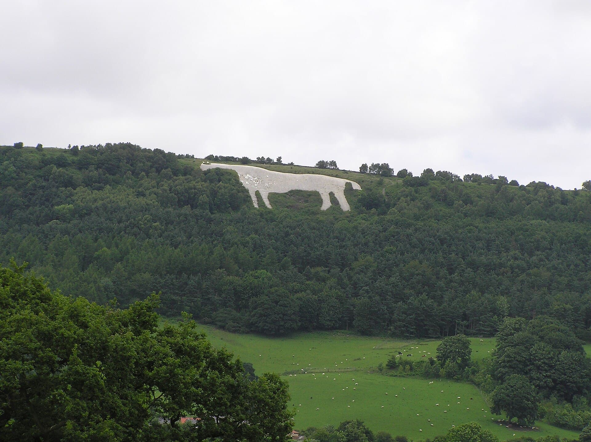 Sutton Bank and the Kilburn White Horse