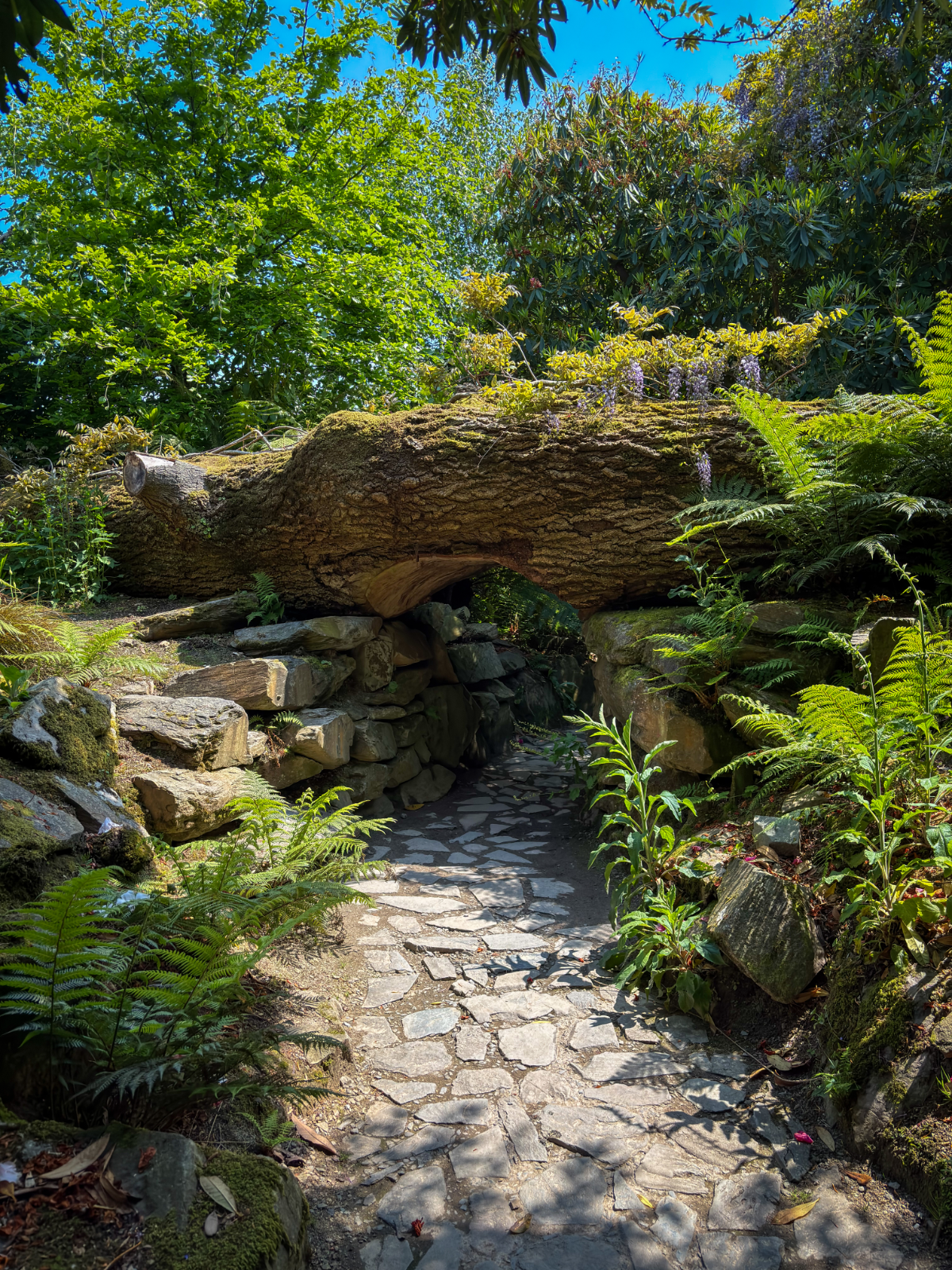 The Lost Gardens of Heligan: A Garden That Vanished for Seventy Years