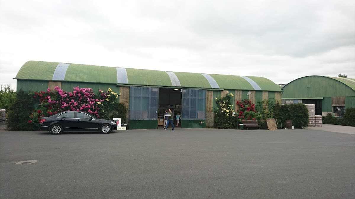 The Apple Farm