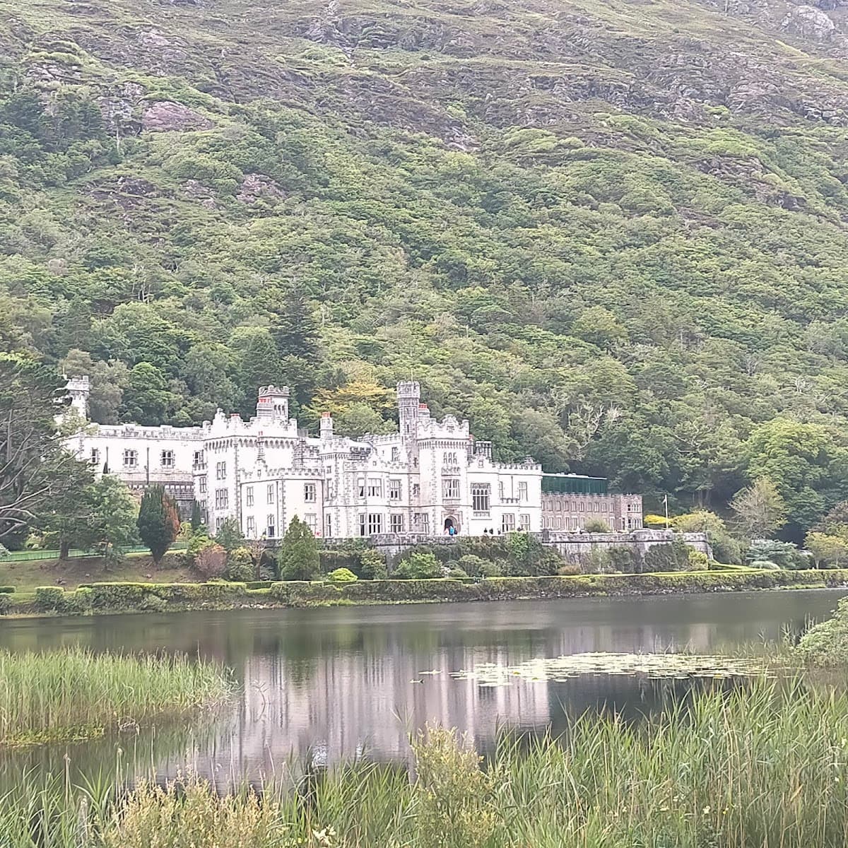 Connemara Camping