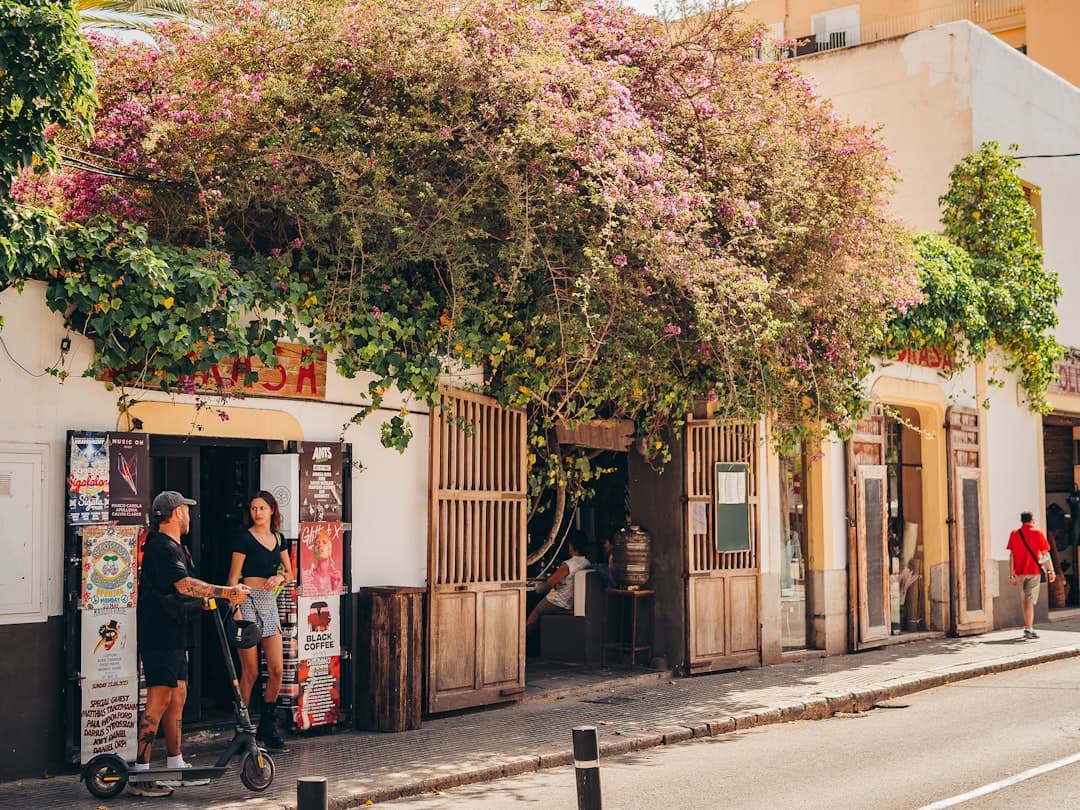 The Camino Francés: The Last Hundred Kilometres to Santiago