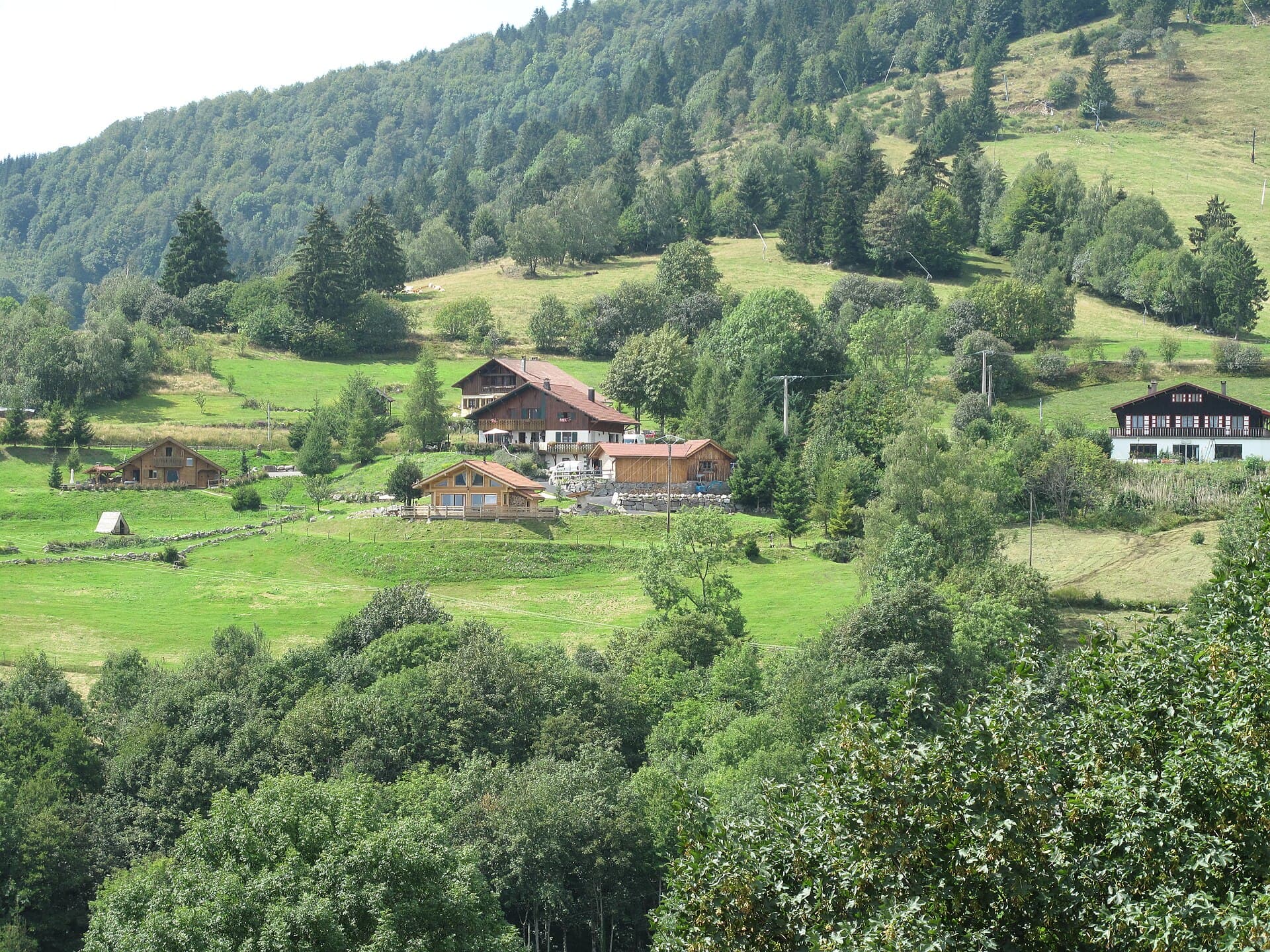 Alsace: The Wine Route and the Crest of the Vosges
