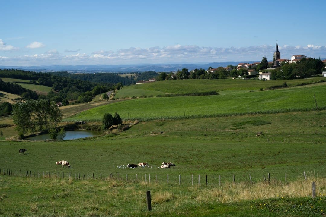 The Mâconnais: Beaujolais Crus, Solutré and Bresse Chicken