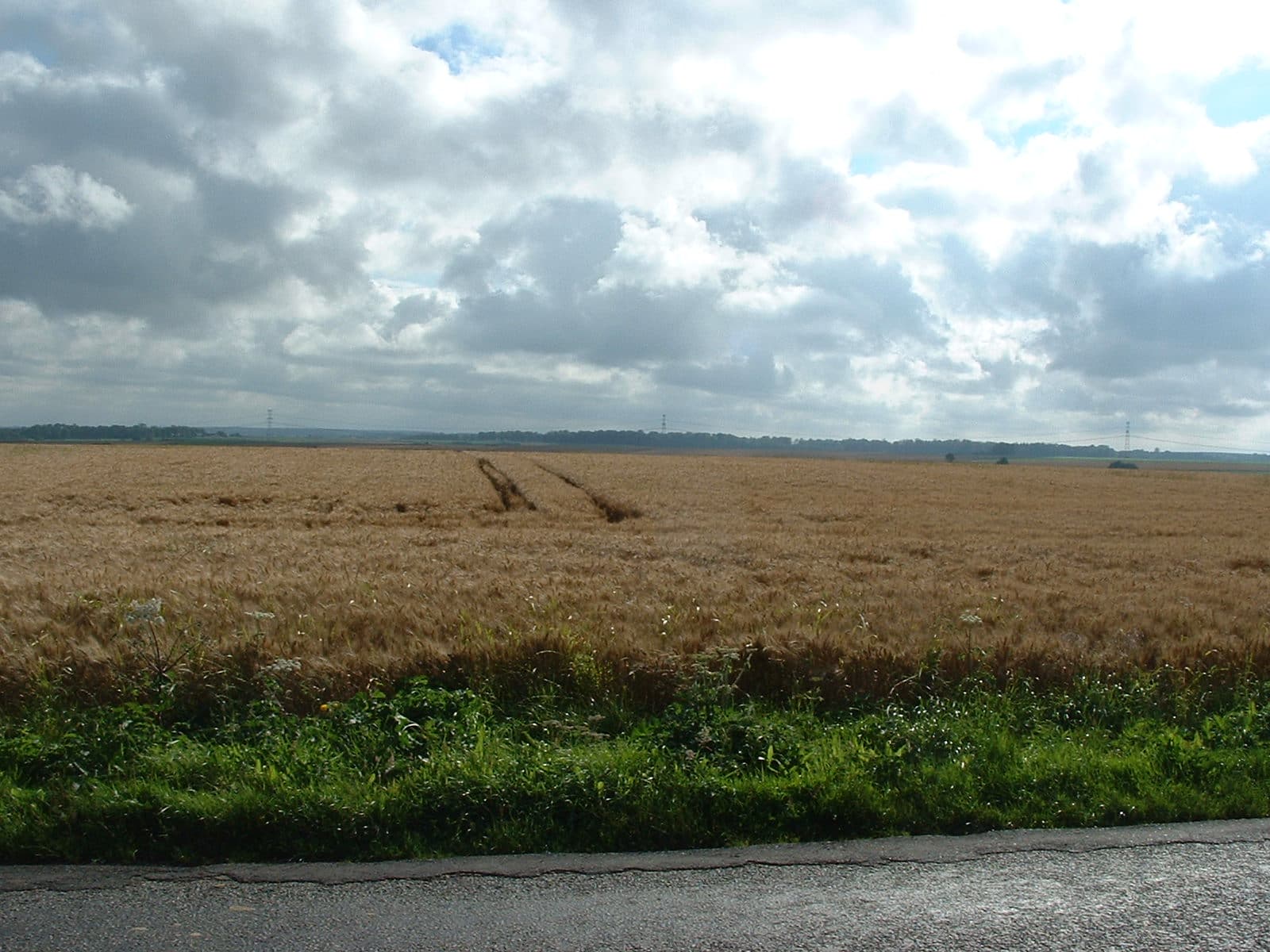 Azincourt: Henry V's Battlefield, Fressin Castle and Hesdin