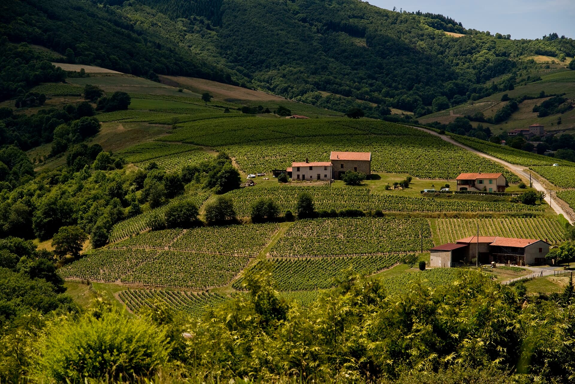 Beaujolais: The Ten Crus, the Moulin-à-Vent and the Vineyard Chapels