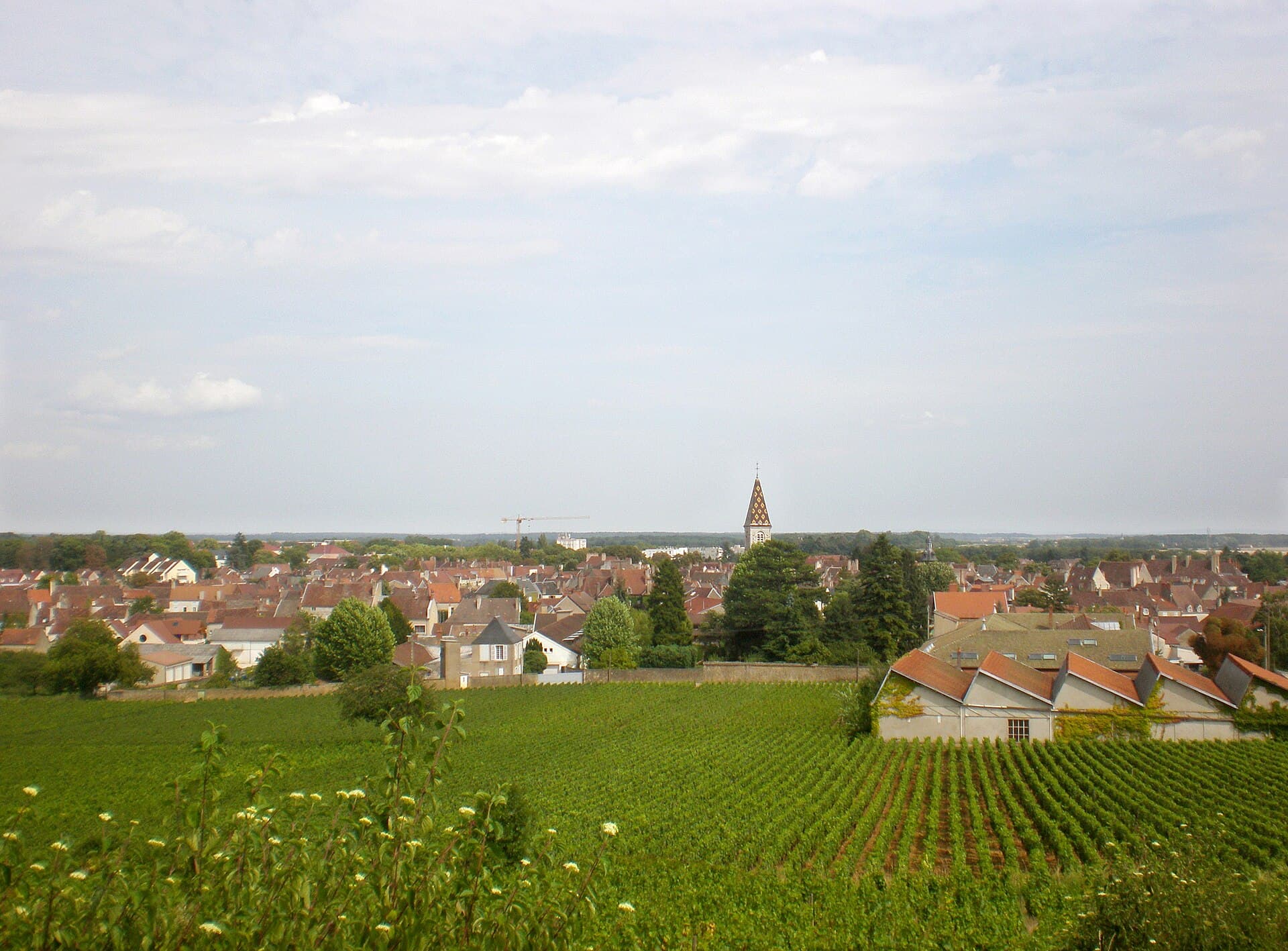 The Côte de Nuits: The Clos de Vougeot and Nuits-Saint-Georges