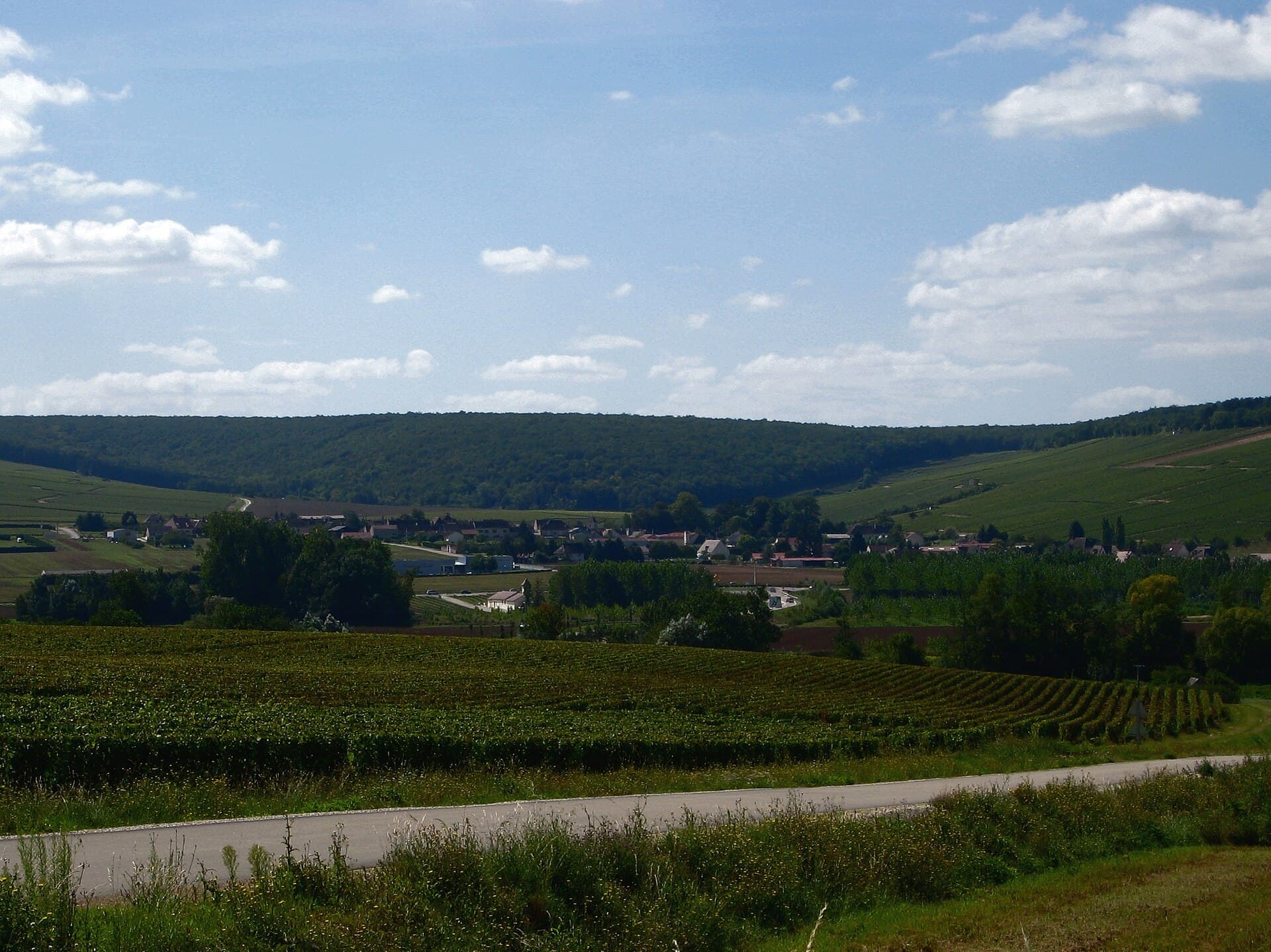 Chablis: The Seven Grands Crus on the Serein