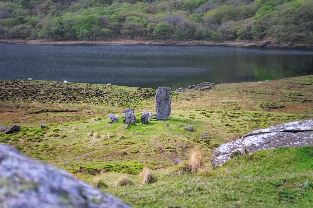 The Irish National Heritage Park: Nine Thousand Years at Ferrycarrig