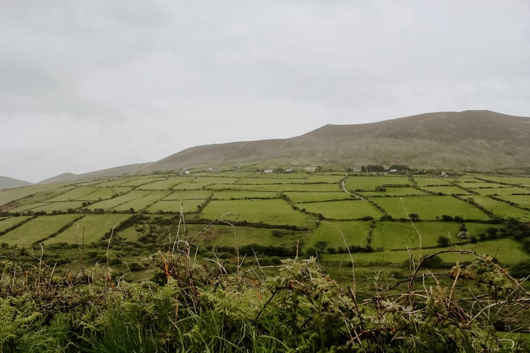 Clonakilty: Black Pudding and Michael Collins