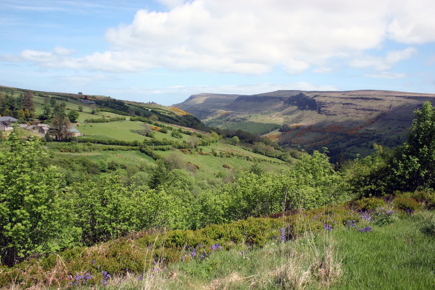 The Glens of Antrim: Nine Valleys to the Sea
