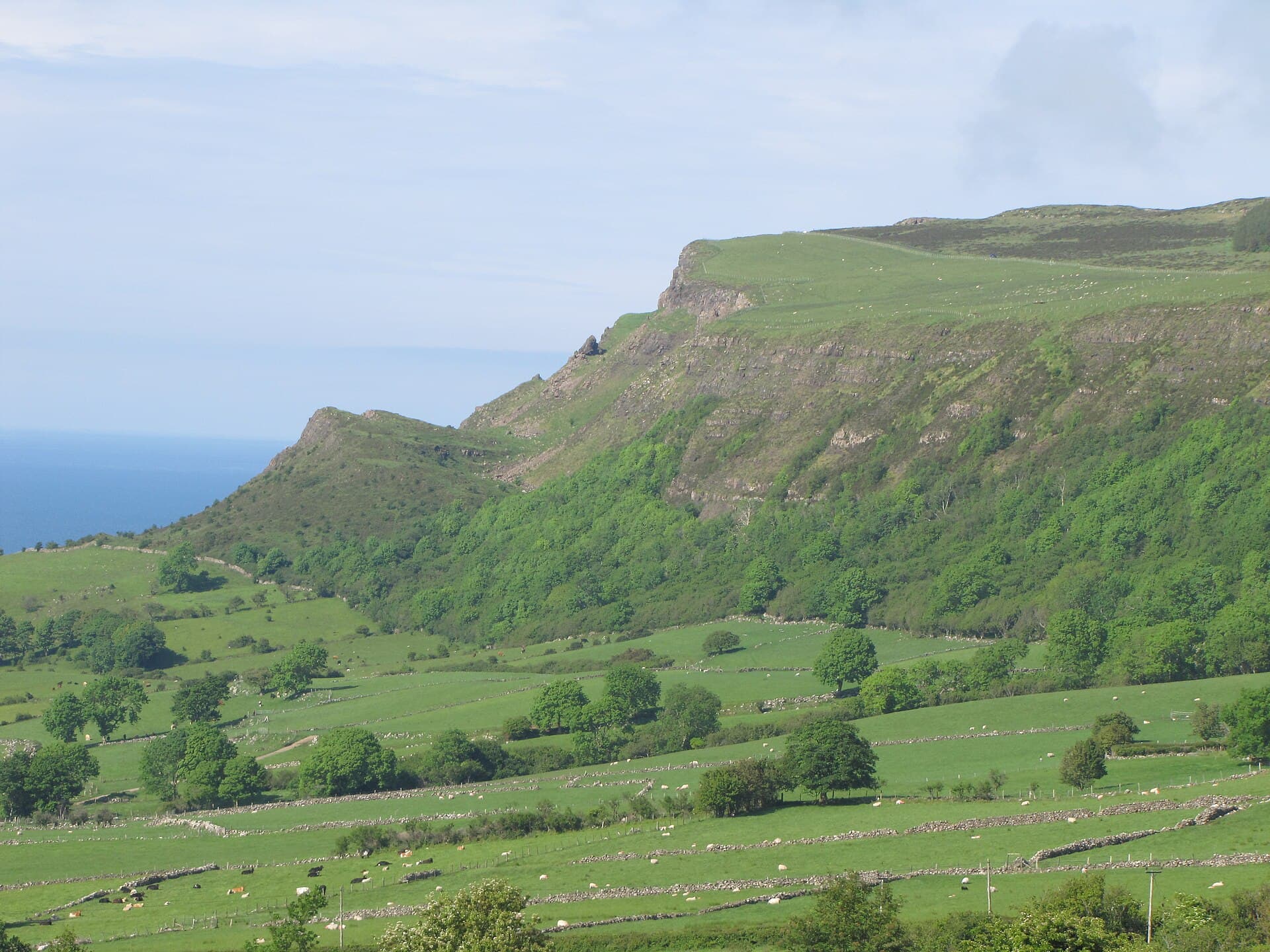 Binevenagh: The Basalt Escarpment Over Magilligan