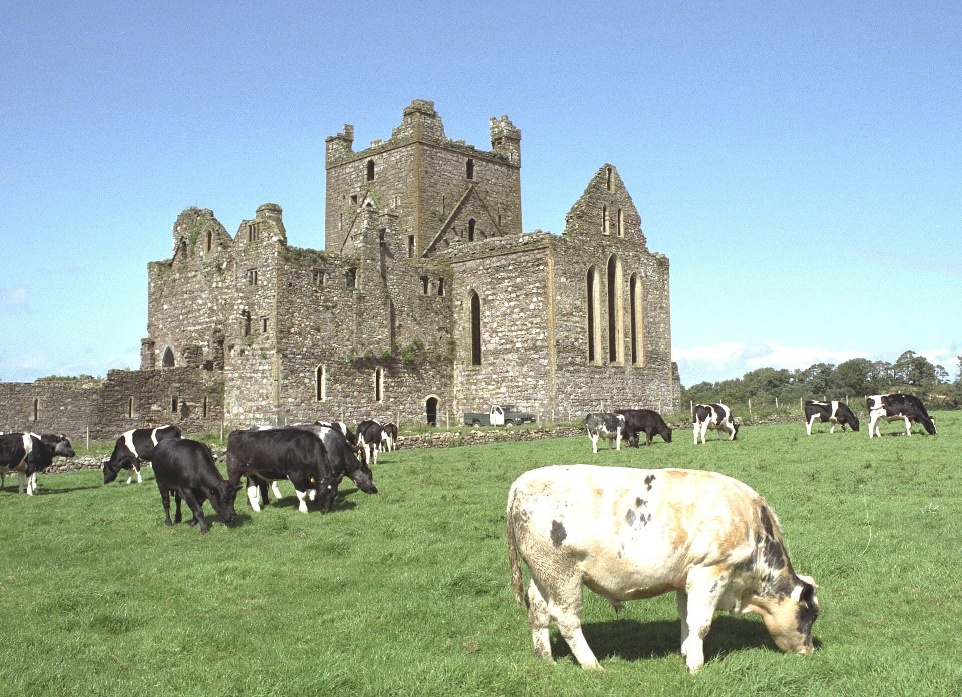 Dunbrody Abbey: A Cistercian Nave and a Hedge Maze