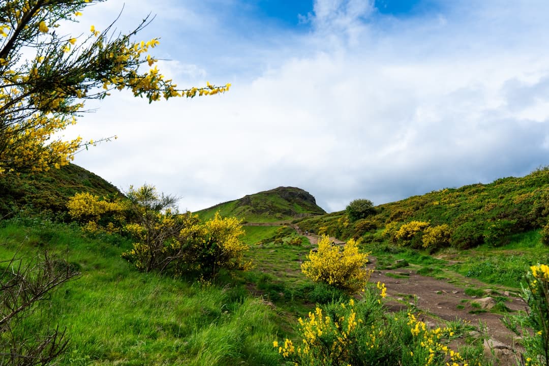 Glen Shiel: The 1719 Battle and the Five Sisters