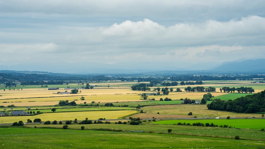 Stirling: The Castle, the Wallace Monument and Bannockburn
