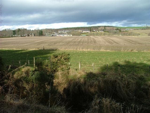 The Munlochy Clootie Well