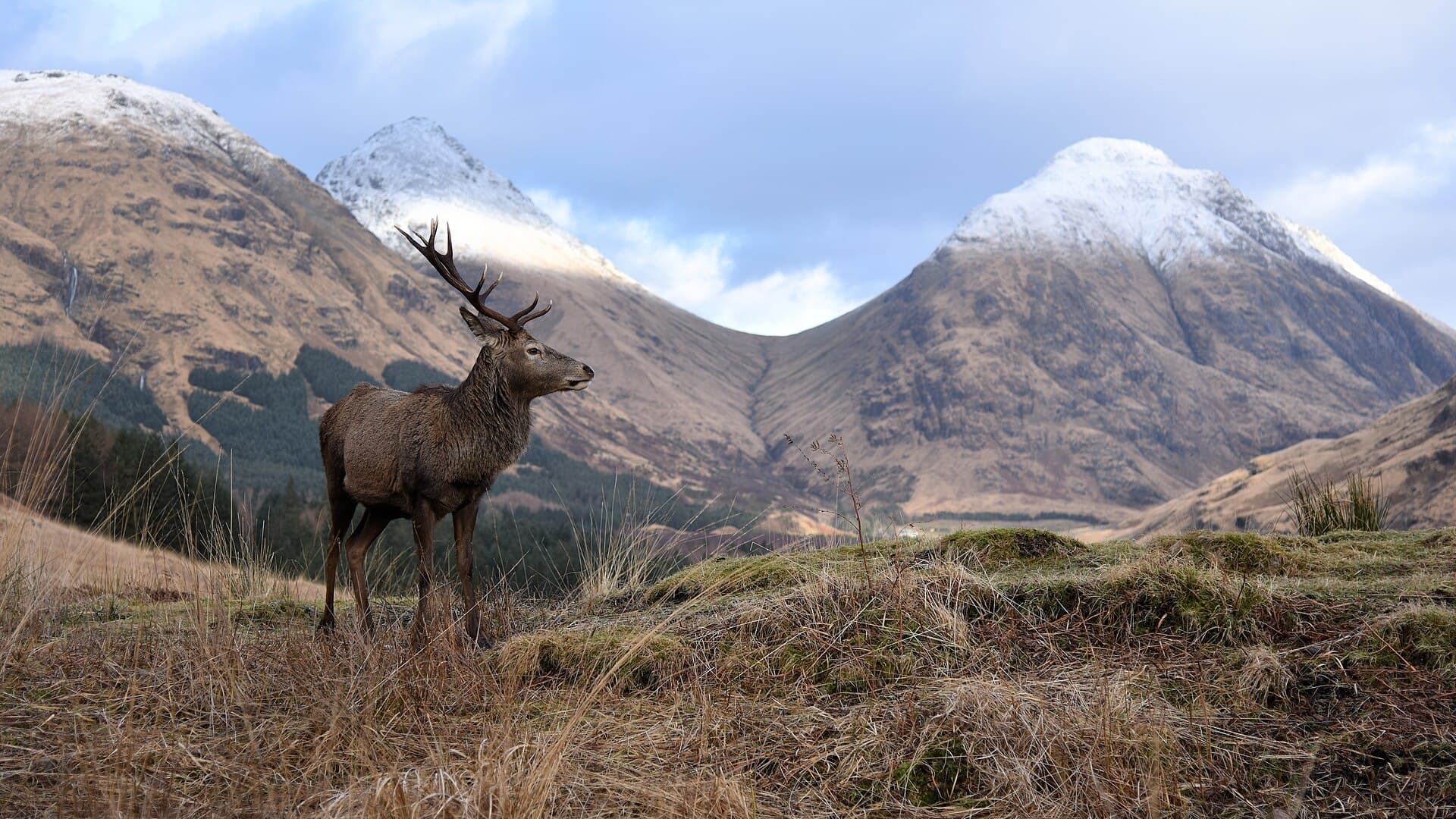 Glen Coe: The Supervolcano and the Massacre of 1692