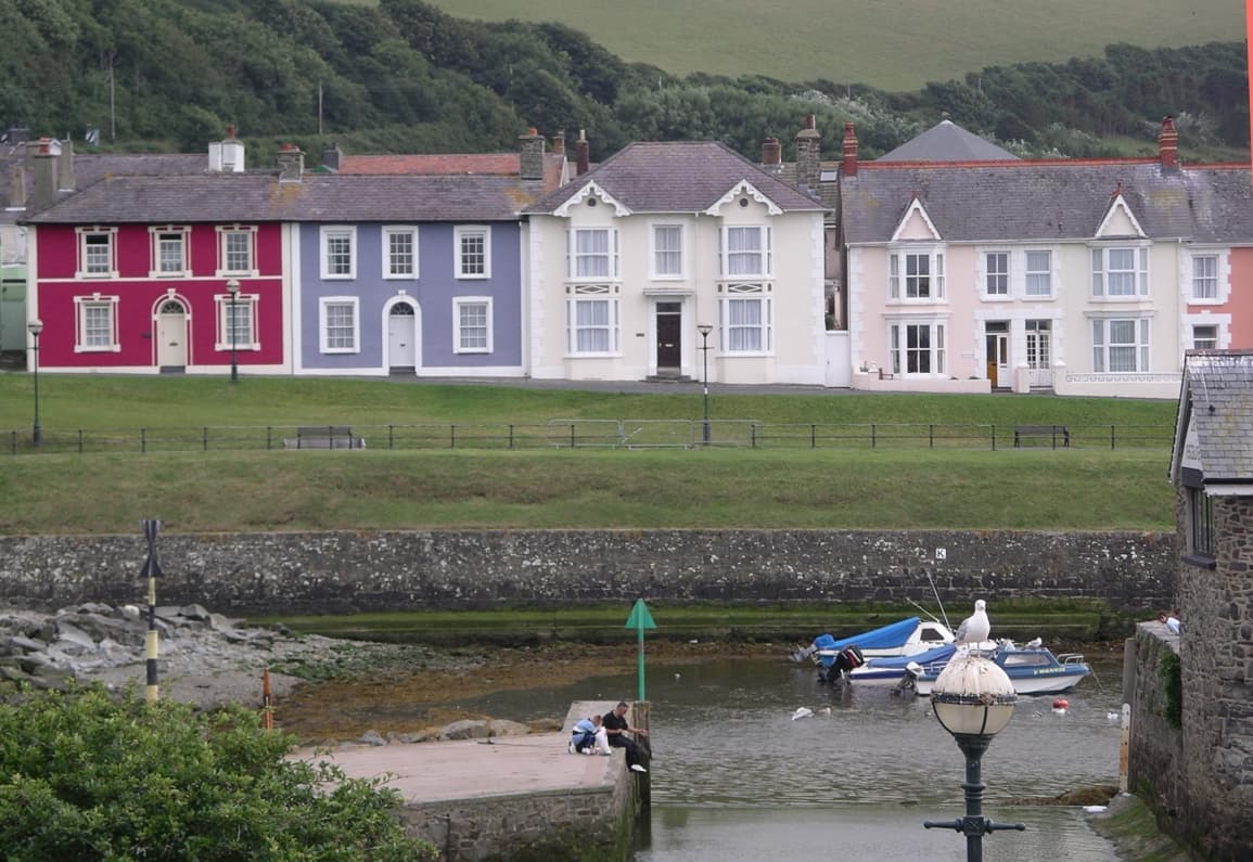 New Quay and Aberaeron: Dolphins and a Georgian Harbour