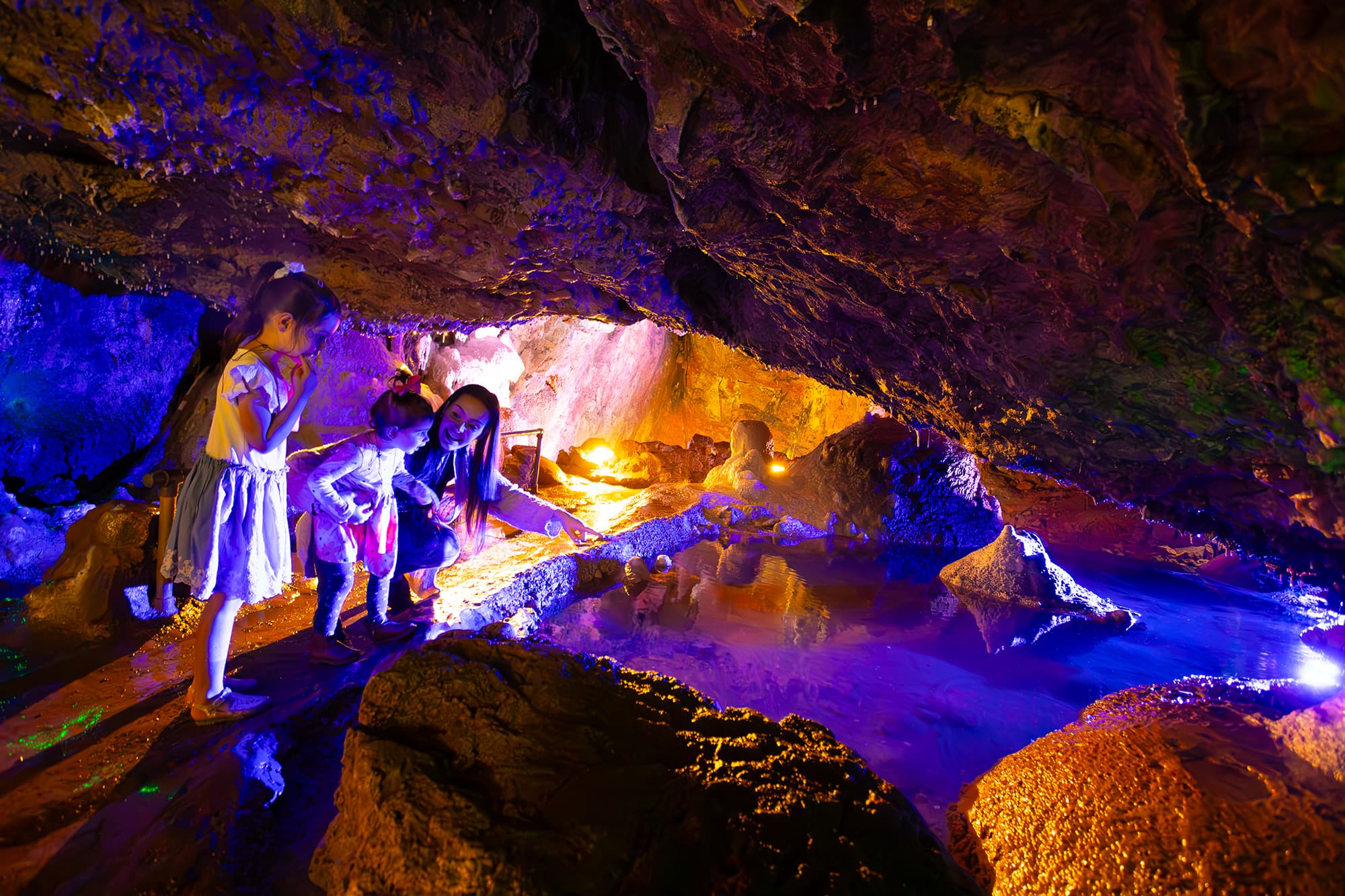 Wookey Hole: The Caves, the Witch and the Oldest Paper Mill