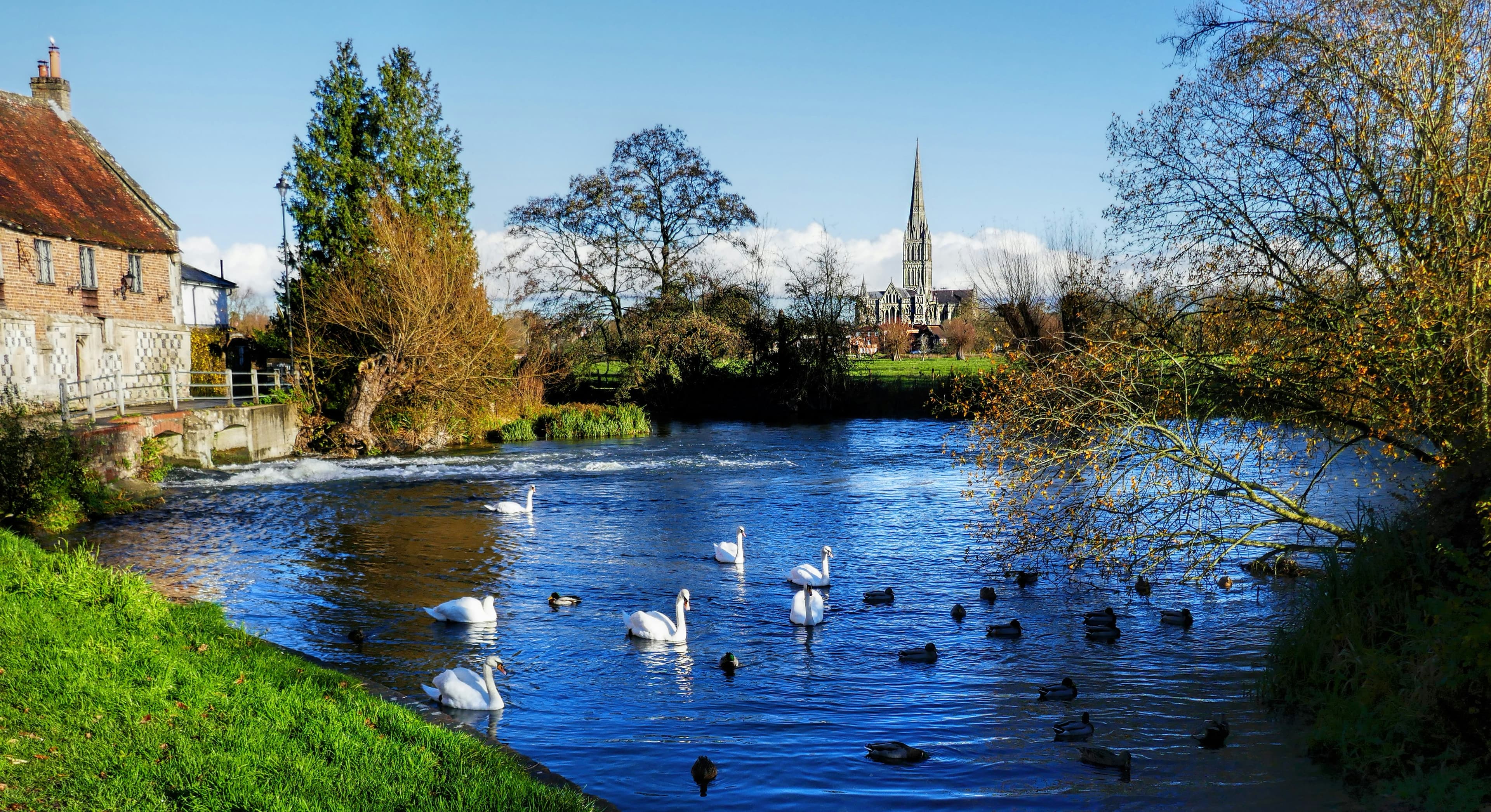 Salisbury: England's Tallest Spire and a Copy of Magna Carta