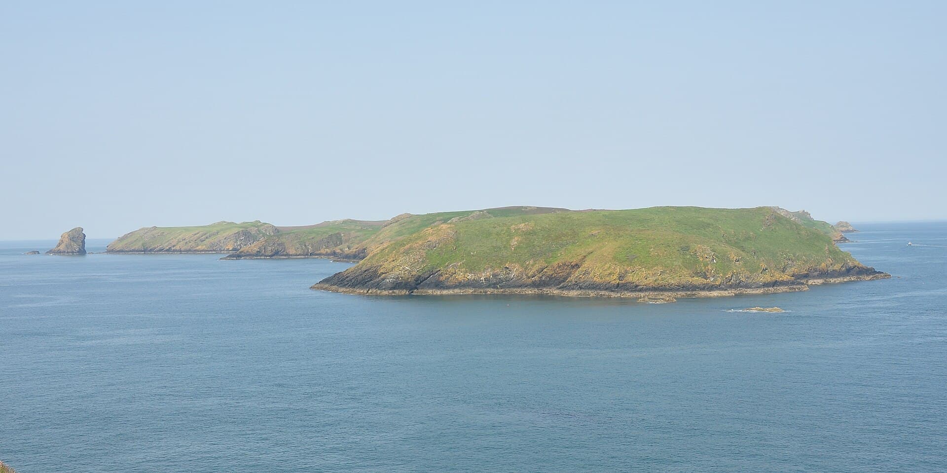 Skomer: Half the World's Manx Shearwaters