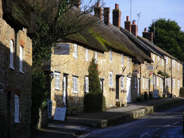 Abbotsbury: The Only Managed Swannery in the World